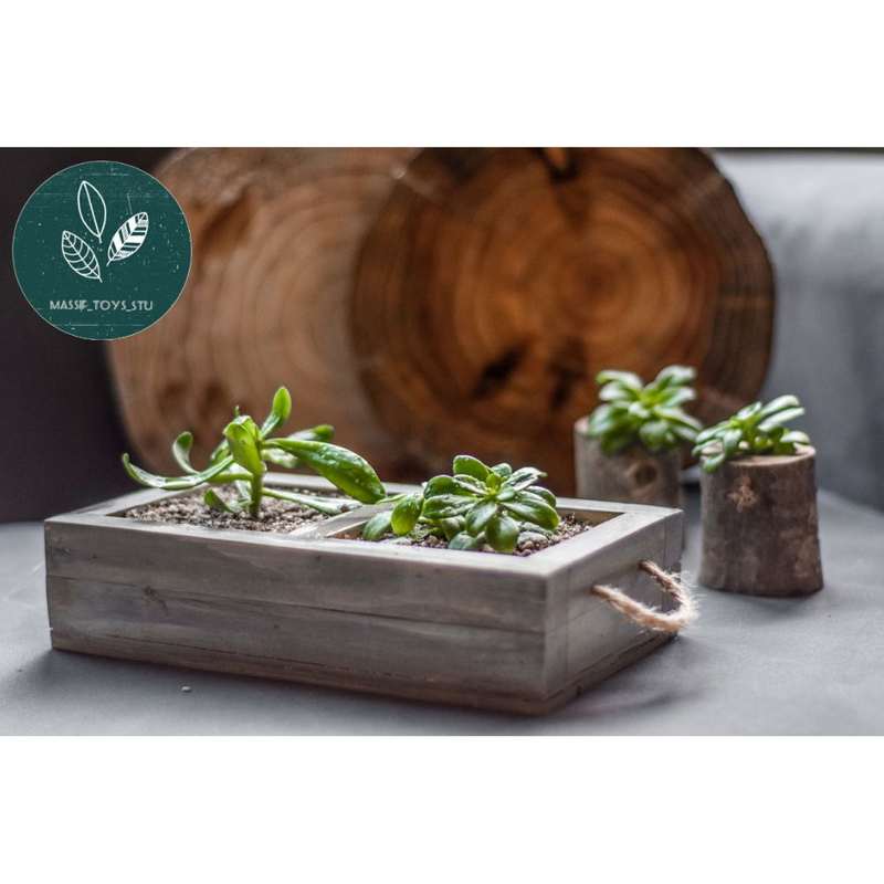 باکس چوبی گلدون دوتایی