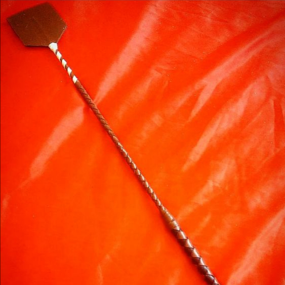 شلاق مینی درساژ