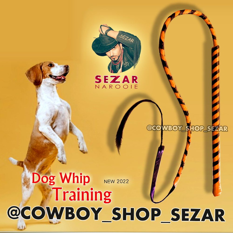 شلاق آموزش سگ