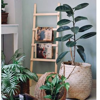 نردبان دکوراتیو