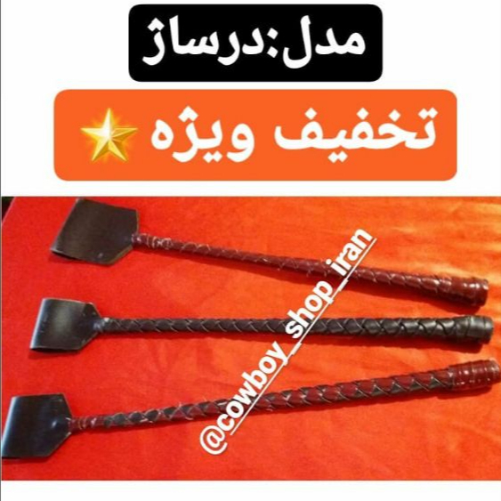 مدل سوارکاری مینی درساژ