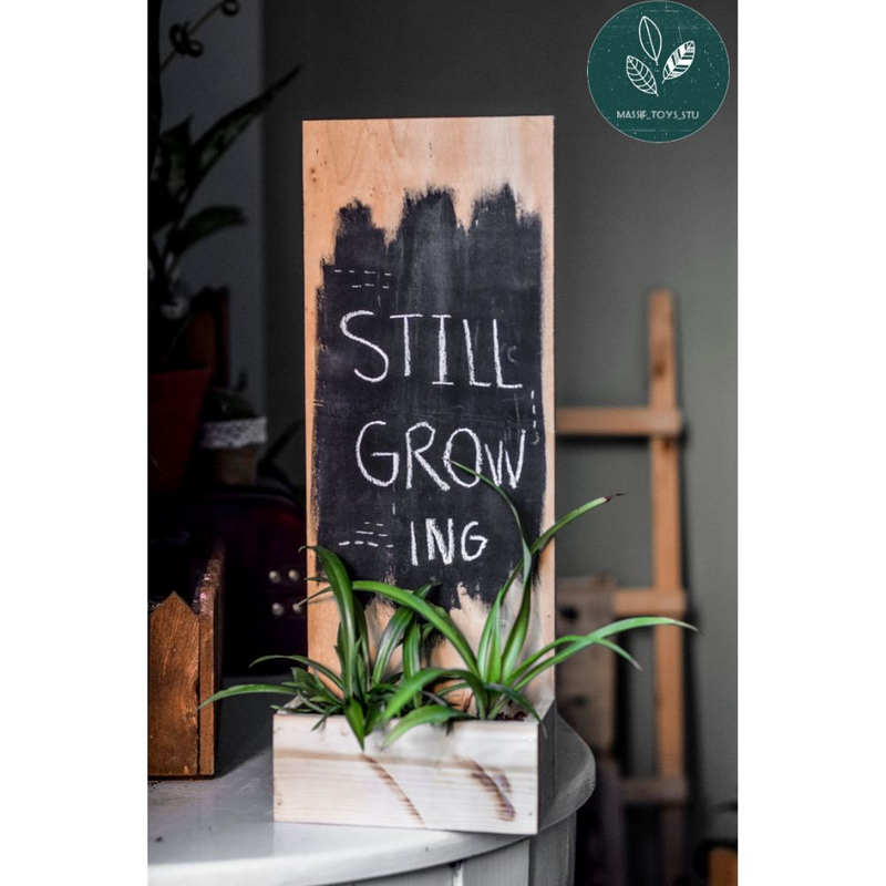 گلدان چوبی بهمراه تخته سیاه