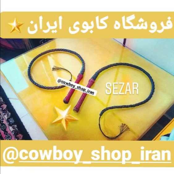 شلاق رزمی و سوارکاری