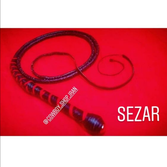 شلاق سیرک سزار